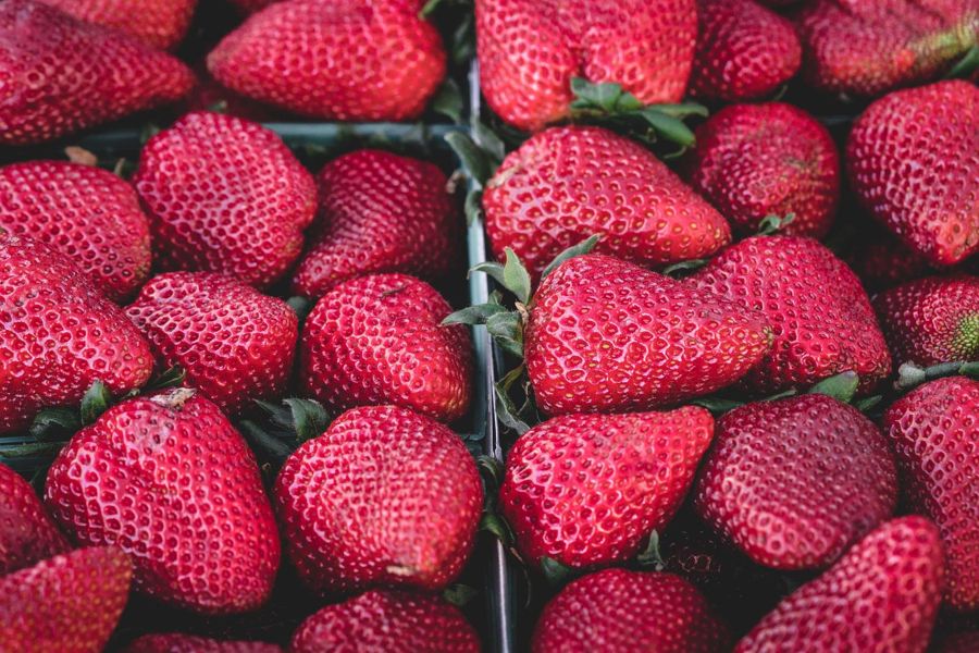 Crates packed with ripe red strawberries